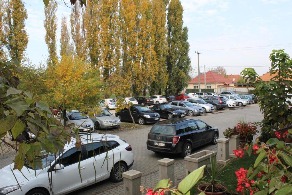 Bed and Breakfast Bajor Panzio Kecskemét Exterior foto